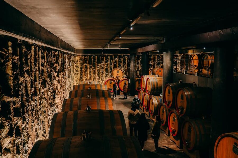 From Verona: Valpolicella and Amarone Wine Tasting Tour - From Ristori Theatre to Valpolicella in an Air-Conditioned Van