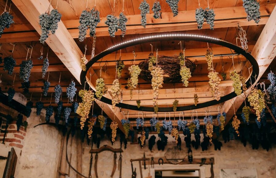 From Verona: Valpolicella and Amarone Wine Tasting Tour - Why Amarone and Ripasso Make This Tour Worth Your Time