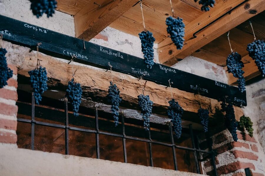 From Verona: Valpolicella and Amarone Wine Tasting Tour - Who This Tour Fits Best (and Who Might Skip It)