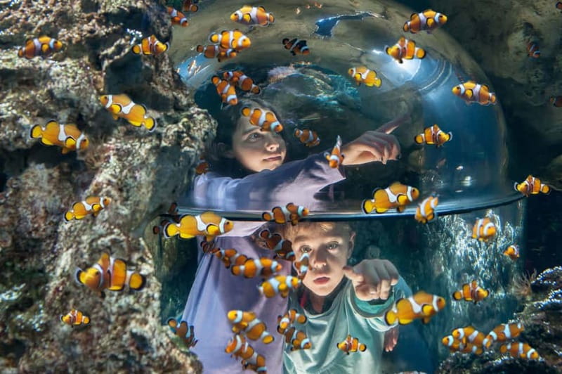 Gardaland SEA LIFE Aquarium: Open Date Entry Ticket - Key things to know before you go
