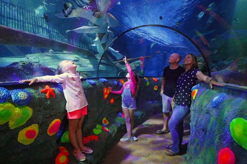 Gardaland SEA LIFE Aquarium: Open Date Entry Ticket - 40 Themed Tanks and 100 Species: What the Route Feels Like