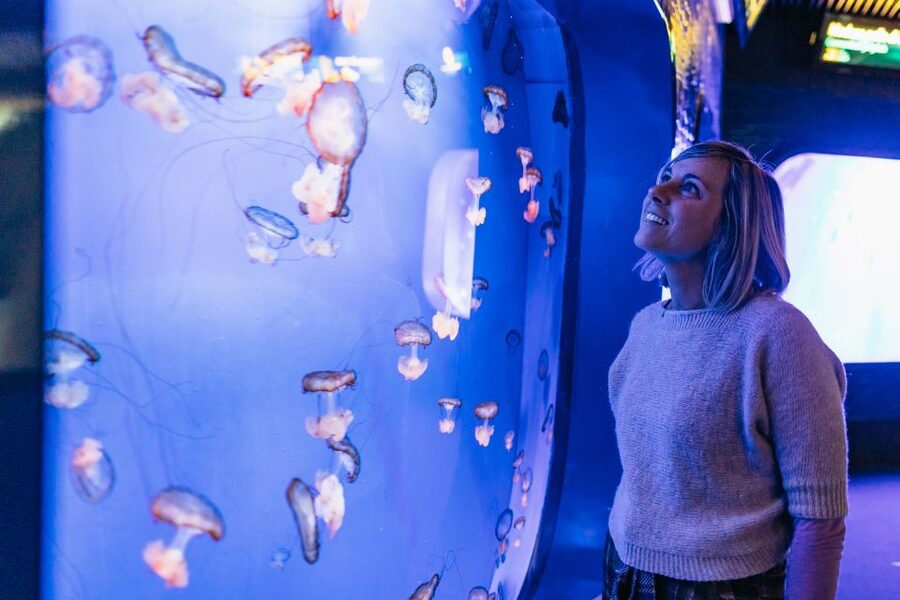 Genoa: Aquarium of Genoa with Lunch - FAQ