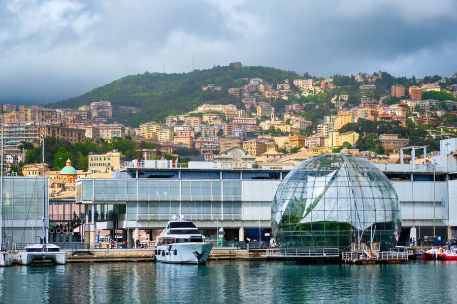 Genoa: Aquarium of Genoa with Lunch - Who This Is Best For (and Who Might Want a Different Plan)