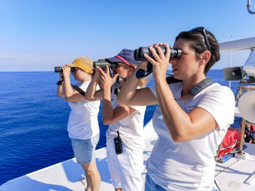 Genoa: Cetacean Watching Cruise with Marine Biologist Guide - The 4.5-Hour Cruise Flow, and What Each Part Feels Like
