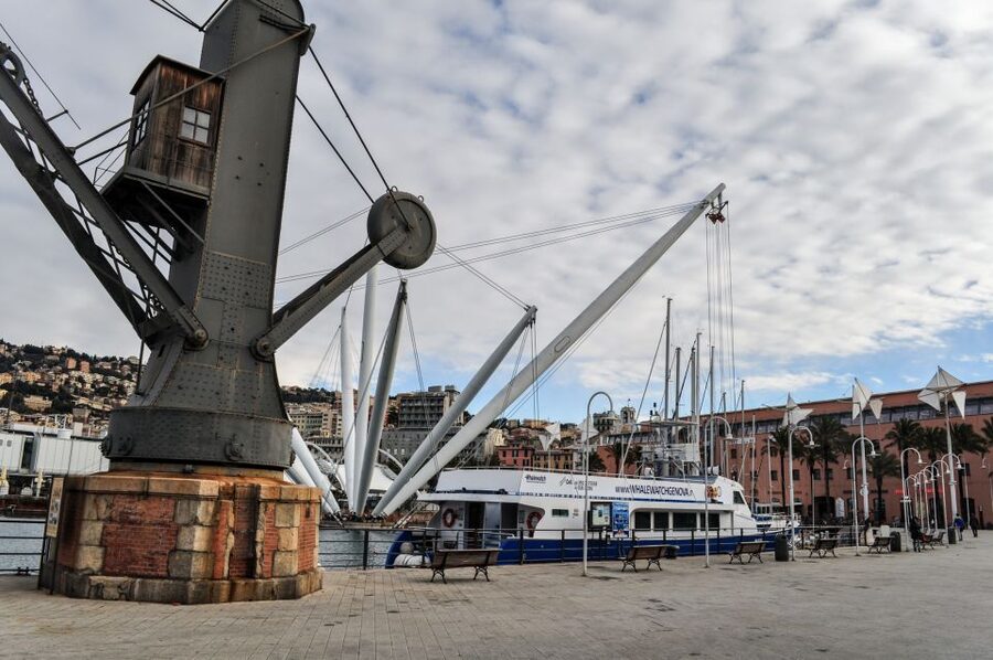 Genoa: Full-Day Tour to Camogli, San Fruttuoso & Portofino - Timing details that make or break your day