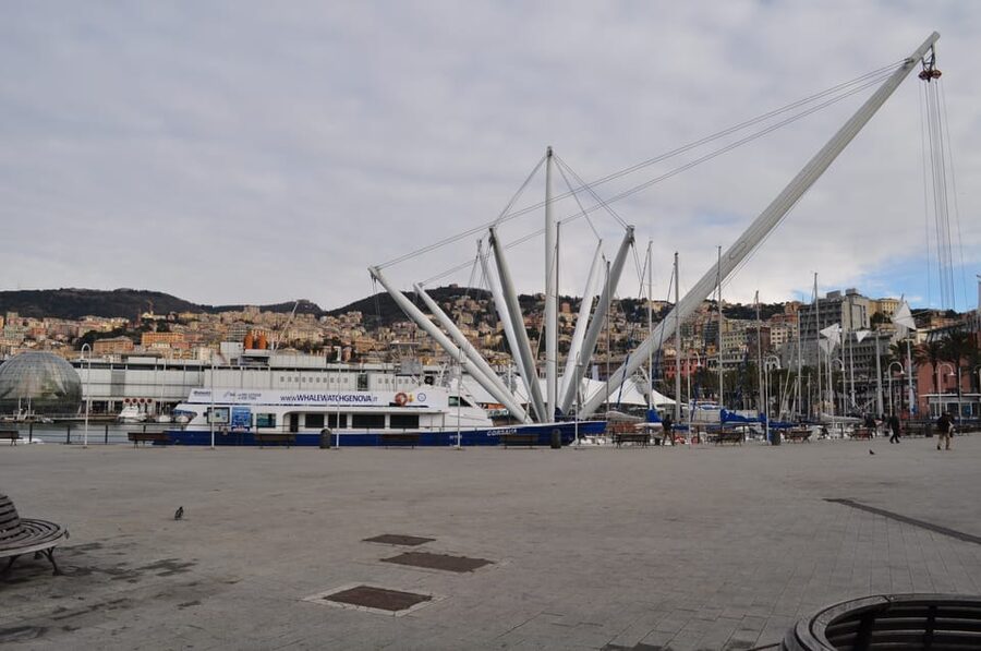 Genoa: Half-Day Tour to Portofino - Price and Value: What You’re Actually Paying For