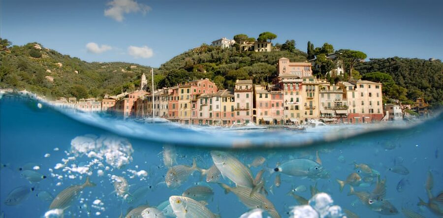 Genoa: Half-Day Tour to Portofino - FAQ