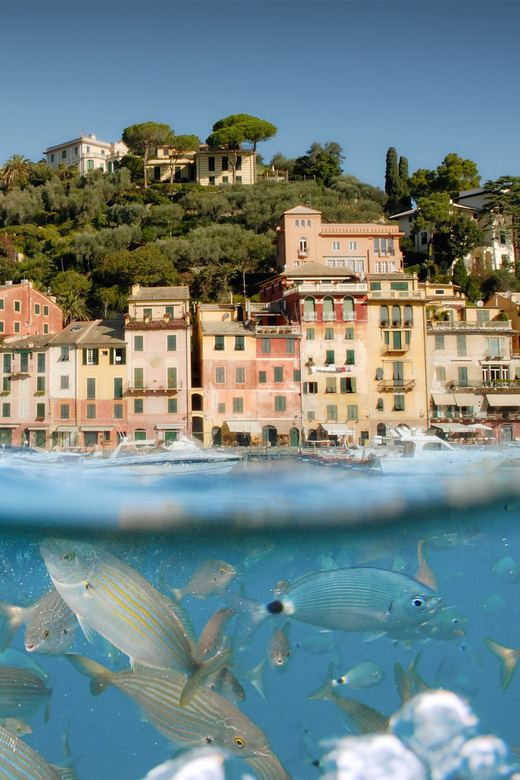 Genoa: Half-Day Tour to Portofino - The Boat Ride Itself: Cliffs, Camogli, San Fruttuoso Bay, and Promontory Views