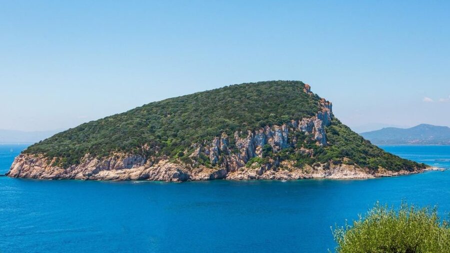 Golfo Aranci: Dolphin Watching and Snorkeling Boat Tour - Dolphin spotting plus snorkeling, why this stretch of Sardinia works