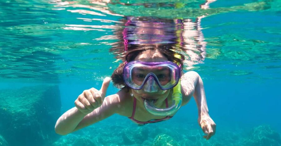 Golfo Aranci: Dolphin Watching and Snorkeling Boat Tour - Meeting point, included stuff, and what you need to bring