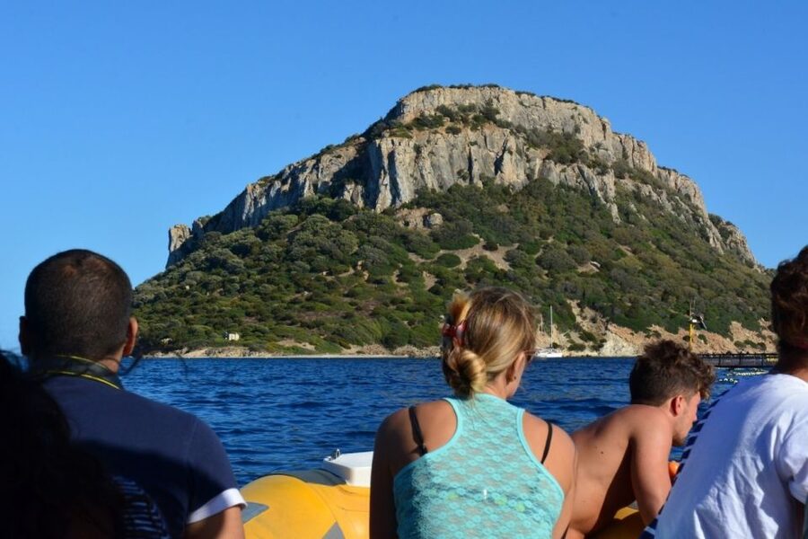 Golfo Aranci: Eco-Friendly Dolphin Watching Boat Trip - Meeting DST Sardegna and what your morning of sailing looks like