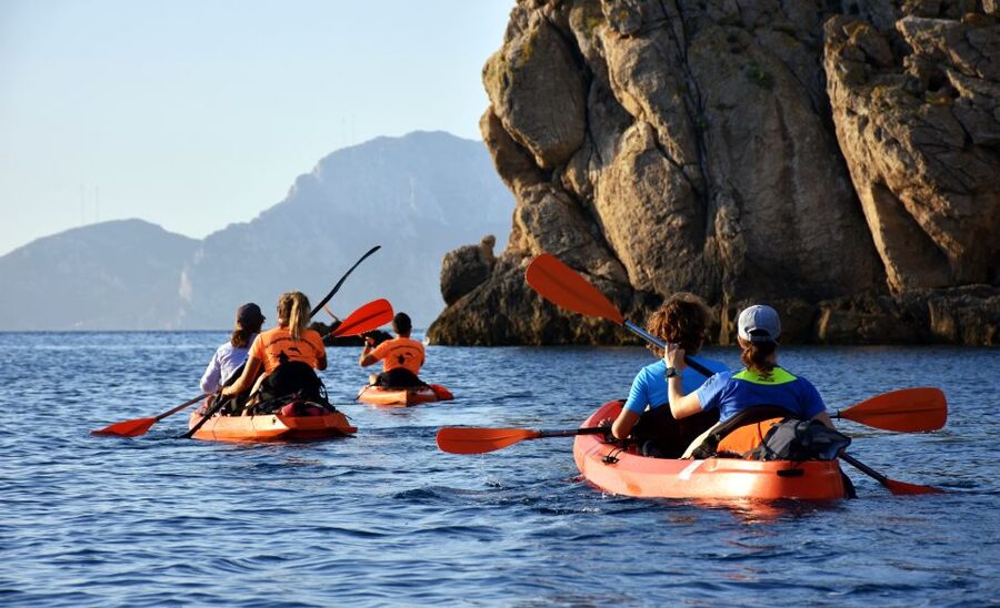 Golfo Aranci: Kayak Tour with Dolphins and Aperitif - Key things that make this tour worth your time