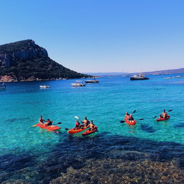 Golfo Aranci: Kayak Tour with Dolphins and Aperitif - Cala Moresca: the snorkeling stop that turns the day from fun to wow