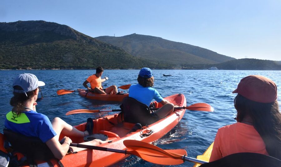 Golfo Aranci: Kayak Tour with Dolphins and Aperitif - Figarolo island and the aperitif on the beach
