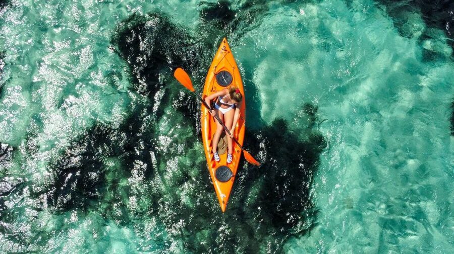 Golfo Aranci: Kayak Tour with Dolphins and Aperitif - Price and value: is $53 per person a fair deal?