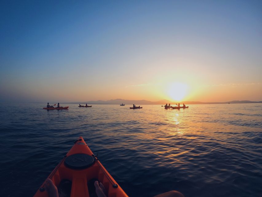 Golfo Aranci: Kayak Tour with Dolphins and Aperitif - What to bring, what to wear, and the small things that matter