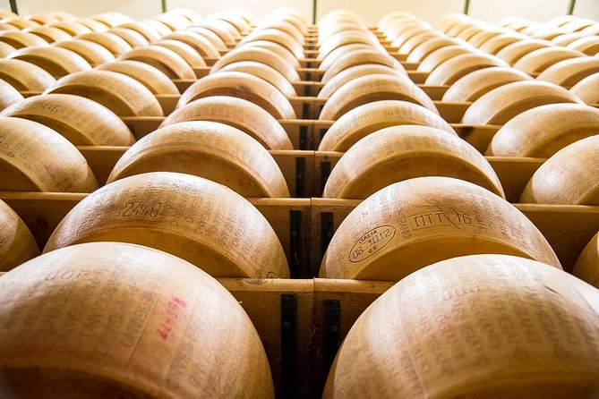 Guided group tour TastyBus: Parmesan Cheese and Parma Ham - Getting started at Viale Paolo Toschi: where the tour begins