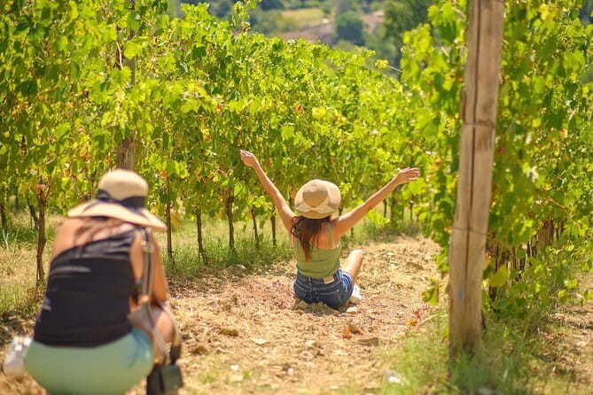 Half day Chianti Vineyard Escape from Florence with Wine Tastings - Key highlights to know before you go