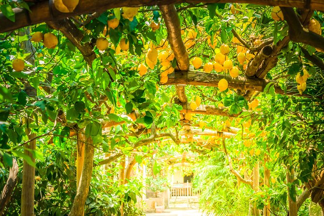 Hands-On Cooking Class & Farmhouse Tour on the Amalfi Coast - Lunch, Wine, Limoncello, and Espresso: Eating What You Cook