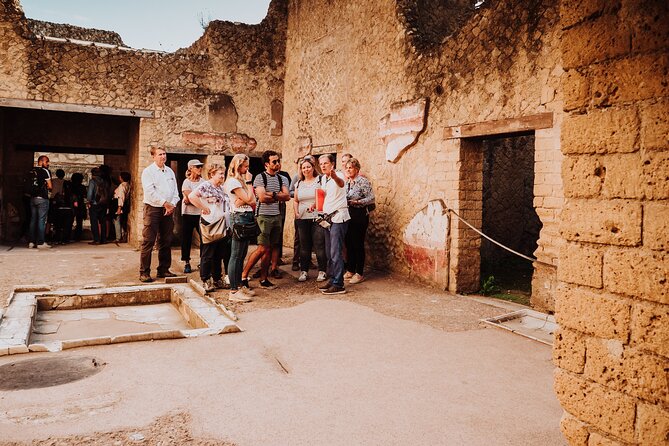 Herculaneum Small Group Tour and Ticket With an Archaeologist - Pace, comfort, and weather: what to expect on your feet