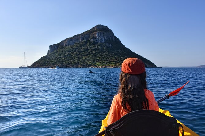 Kayak tour with aperitif and dolphins - Key highlights to know before you go