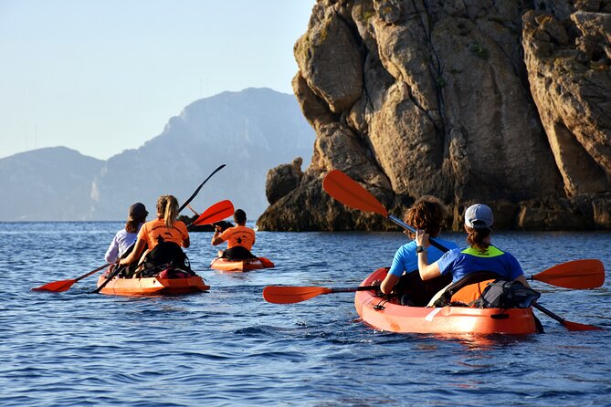 Kayak tour with aperitif and dolphins - Kayak Moresca near Olbia: why this trip feels different