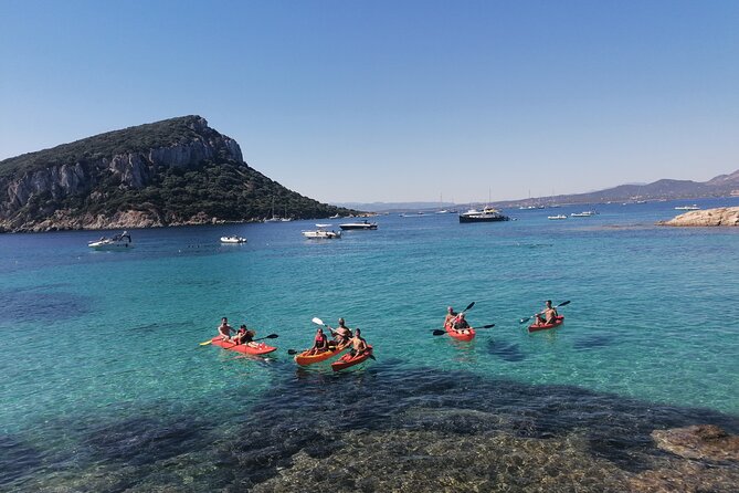 Kayak tour with aperitif and dolphins - Capo Figari and the route feel: it’s a scenic transfer, not a slog