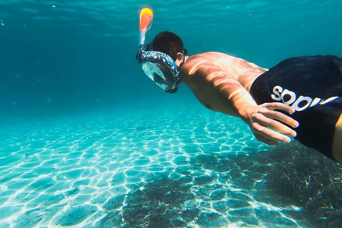 Kayak tour with aperitif and dolphins - Figarolo Island aperitif: local snack breaks with dolphin odds