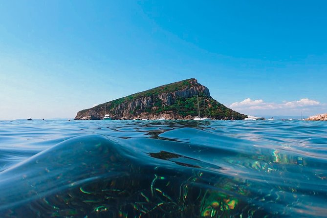 Kayak tour with aperitif and dolphins - Guides and the marine-life talk that makes the snorkeling better