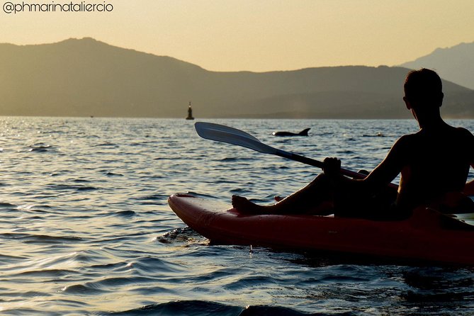 Kayak tour with aperitif and dolphins - Price and value: is it worth $54.42 per person?