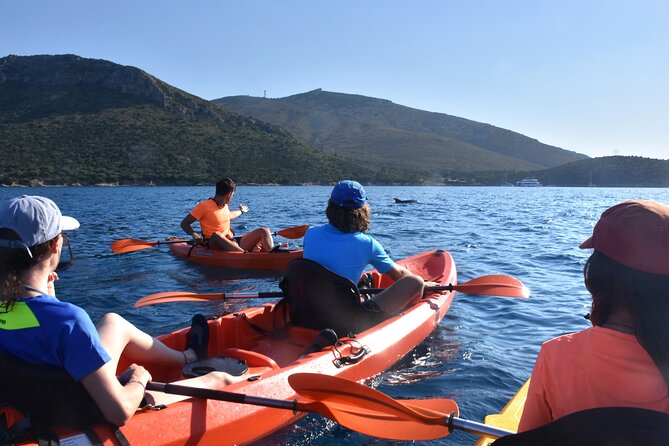 Kayak tour with aperitif and dolphins - Getting set up at the start: lesson, equipment, and the real do’s