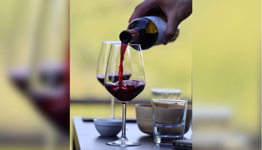Lucca: Guided Winery Tour with Wine Tasting - Tenuta Adamo in the Lucca hills, where the timing feels easy