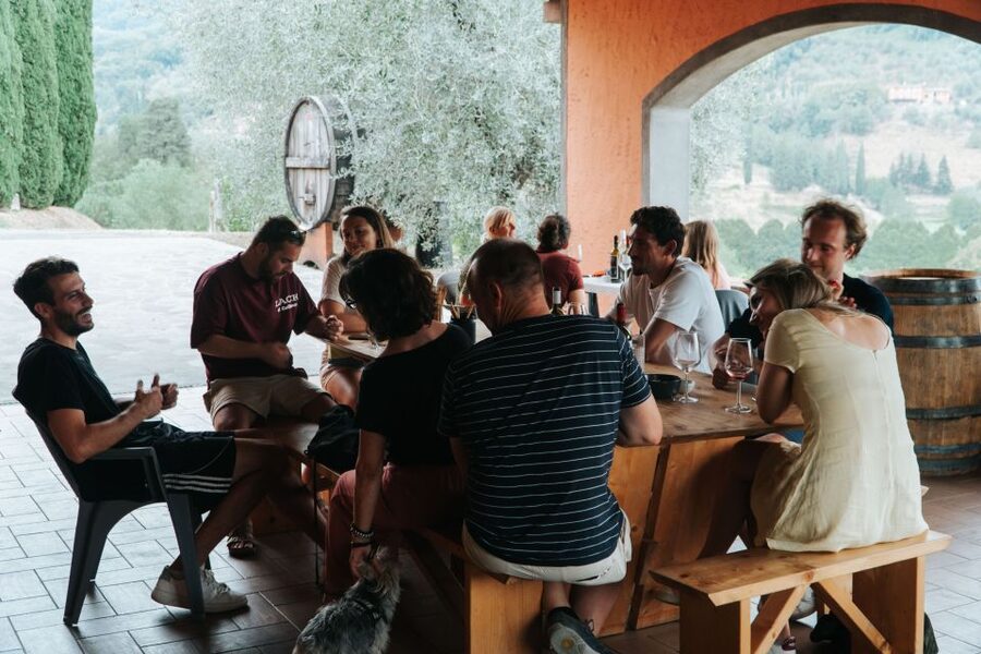 Lucca: Guided Winery Tour with Wine Tasting - Inside the cellar: what you learn in about 15 to 20 minutes