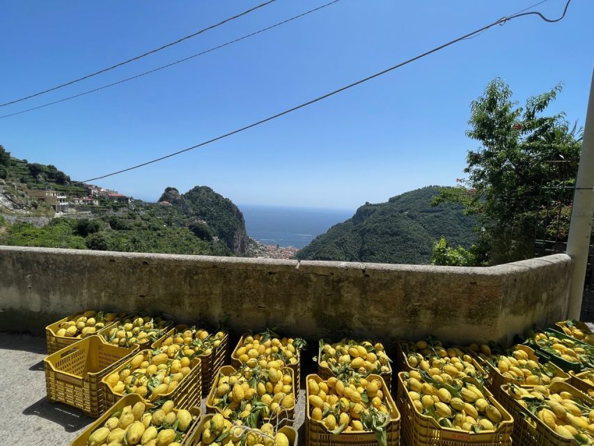Maiori: Amalfi Coast Path of Lemons Day Trip with Tastings - Giovanni Ruocco Lemon Farm Visit: Groves, Gardens, and the Tastings