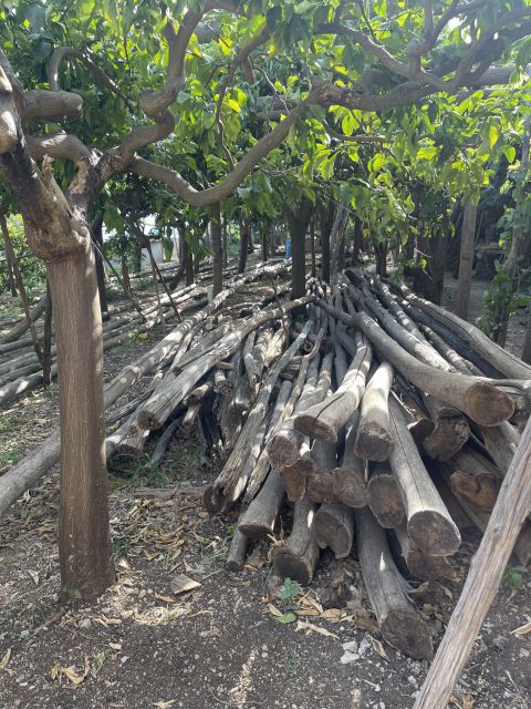 Maiori: Amalfi Coast Path of Lemons Day Trip with Tastings - Pacing, Difficulty, and What to Wear So You Enjoy It