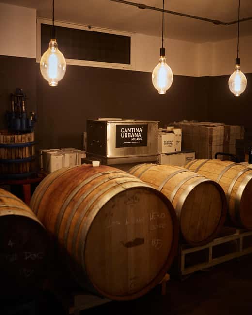 Milan: Wine Lovers Experience at Cantina Urbana Winery - The compact cellar tour: barrels, amphorae, and tanks