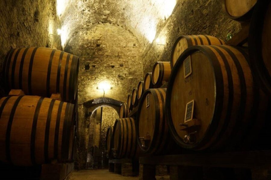 Montepulciano: Wine Tasting and Cellar Tour - The 1-hour plan, what you’ll do step by step