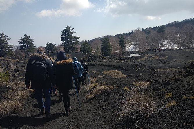 Mount Etna Half-Day Small Group Tour from Taormina - Monti Sartorius: the volcanic walk that gives you real context