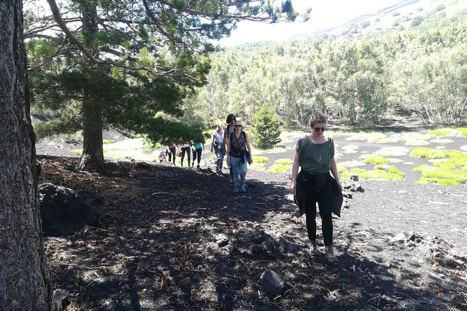 Mount Etna Half-Day Small Group Tour from Taormina - The chalet stop: Sicilian sandwich, wine, cake, and almond tasting