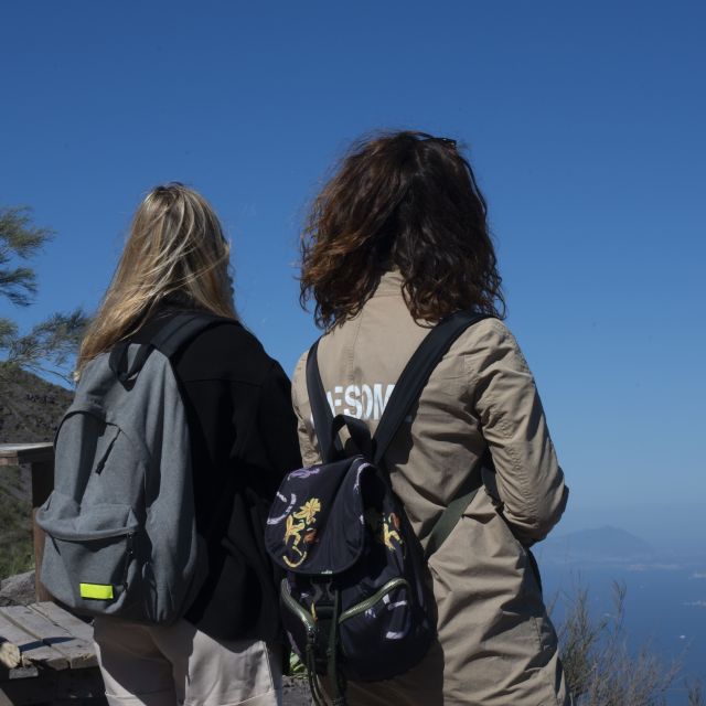 Mount Vesuvius: Skip-the-Line Ticket and Smart Digital Guide - Entry Timing and Ticket Validity: The Fast-Win Rules