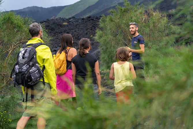 Mt. Etna nature and flavors half day Tour from Catania - Key Highlights Worth Marking on Your Map