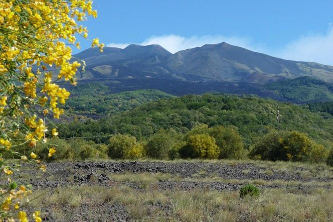 Mt. Etna nature and flavors half day Tour from Catania - Funivia dell’Etna: The Optional Altitude Upgrade You Should Price Carefully
