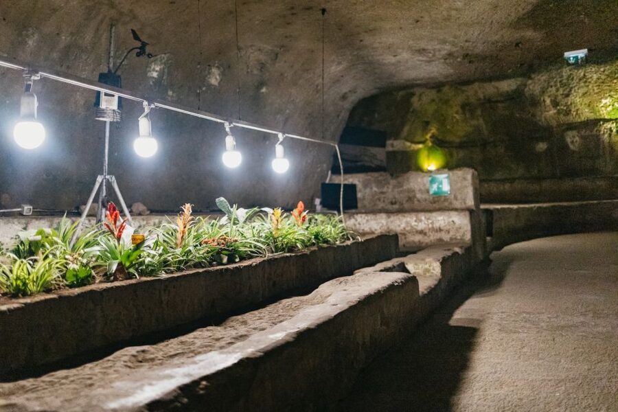 Naples: Naples Underground Entry Ticket and Guided Tour - Should You Book Naples Underground?