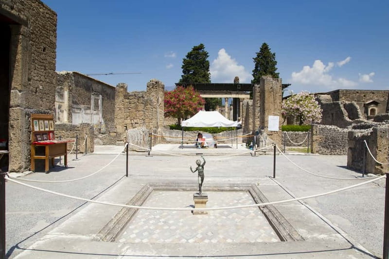 Naples or Sorrento: Full-Day Pompeii and Mount Vesuvius Tour - Pompeii with skip-the-line entry and a focused 2.5-hour guided walk