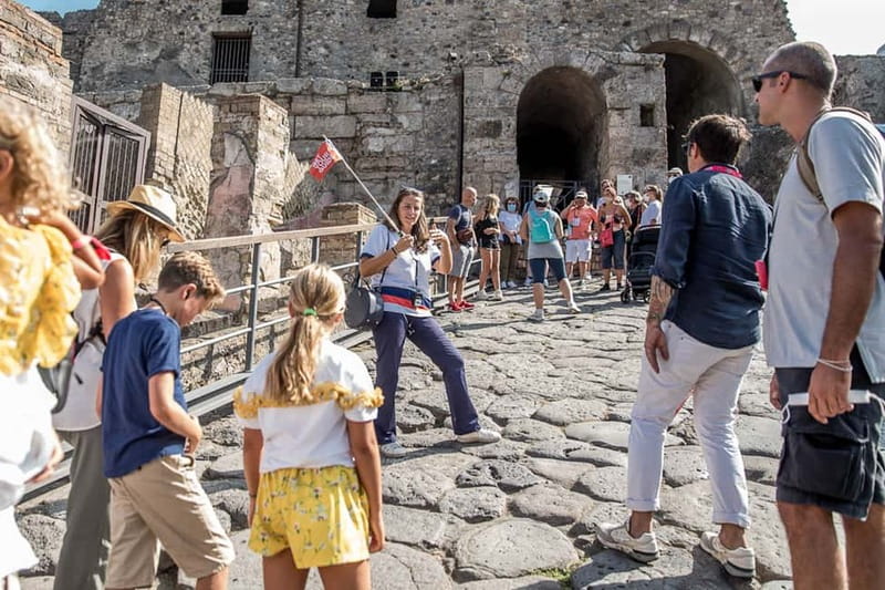 Naples or Sorrento: Full-Day Pompeii and Mount Vesuvius Tour - Mount Vesuvius: vehicle-assisted height, then your own crater edge hike