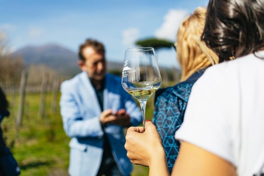 Naples: Pompeii and Mt. Vesuvius with Lunch and Wine Tasting - Pompeii Archaeological Site: how the ruins stay human