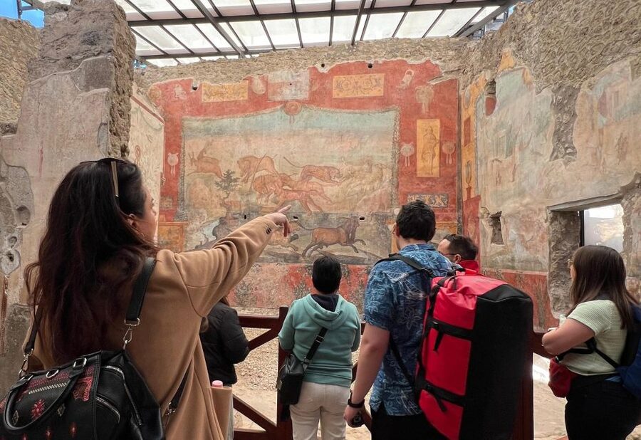 Naples: Pompeii & Mt. Vesuvius Day Trip with Tickets & Lunch - Quick reasons this works