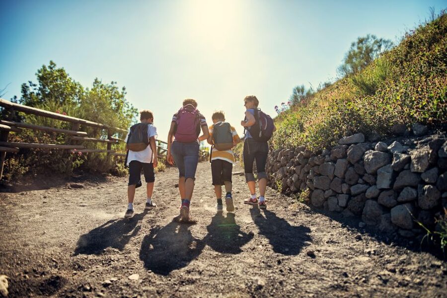 Naples: Pompeii & Mt. Vesuvius Day Trip with Tickets & Lunch - Lunch at Mt. Vesuvius: plan to feel full, not rushed
