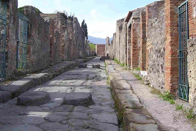 Naples Shore Excursion: Pompeii Half Day Trip from Naples - Pompeii in Half a Day, What You’ll Actually See