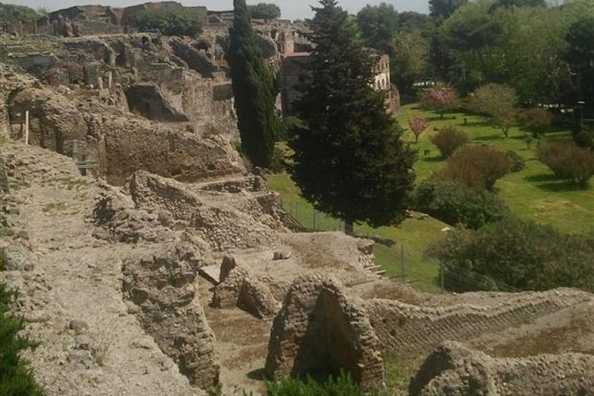 Naples Shore Excursion: Pompeii Half Day Trip from Naples - Who This Trip Fits Best, and Who Might Want a Different Plan